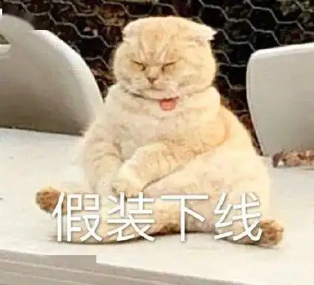  表情包猫咪版假装下线
