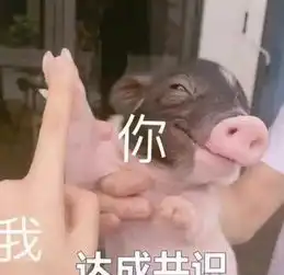  可爱沙雕表情包丨你的小宝贝不在,你爹在