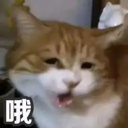  明天还有雨吗能降温吗对不起,你会很失望