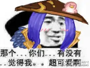 抓贼的表情包刘备