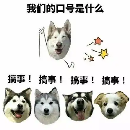打狗狗表情包狗狗