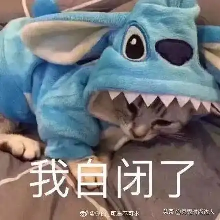  上海老人买菜车一夜走红,省时省力还便捷,送给老妈很合适