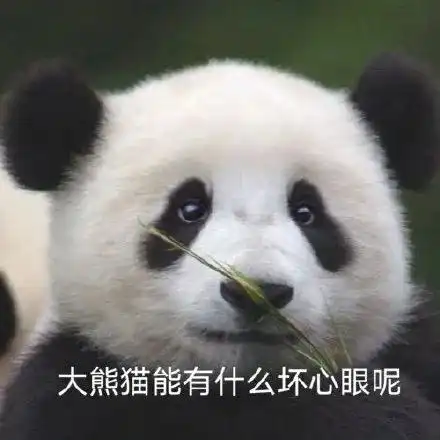  小动物能有什么坏心眼