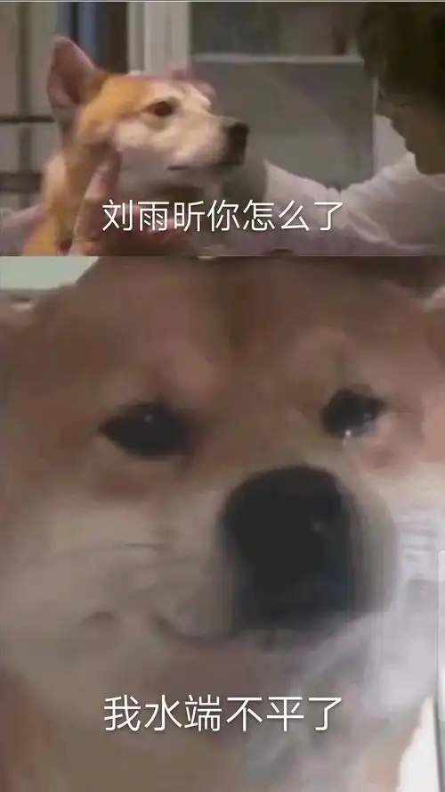 微信胖多拉表情包红包