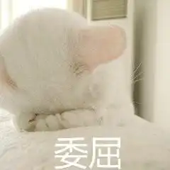一把抱住表情包委屈