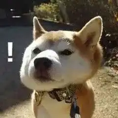  年轻时犯下的错现在终于能弥补了