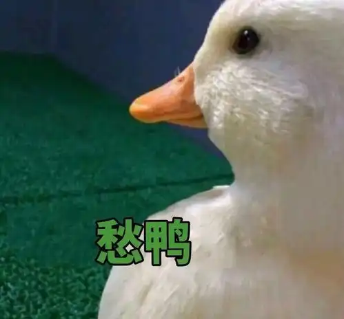  看到阳光请珍惜因为大boss冷空气即将驾到