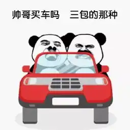 买车图片表情包