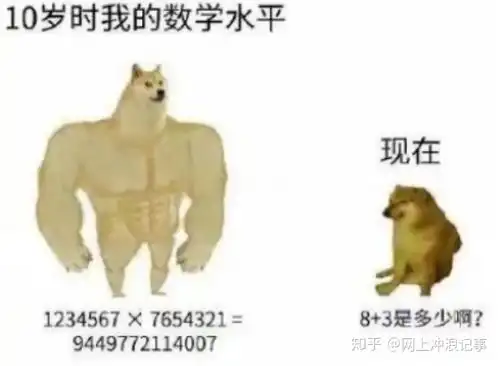  活在你表情包里的神烦狗doge,本体现在过得怎么样