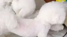  就喜欢李佳琦讲故事,这得意的小表情