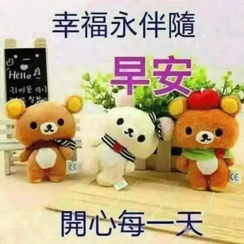 重要事情图片表情包问候