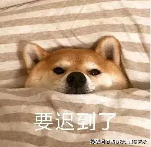  早起的好处有很多,尤其能解决你的肥胖问题
