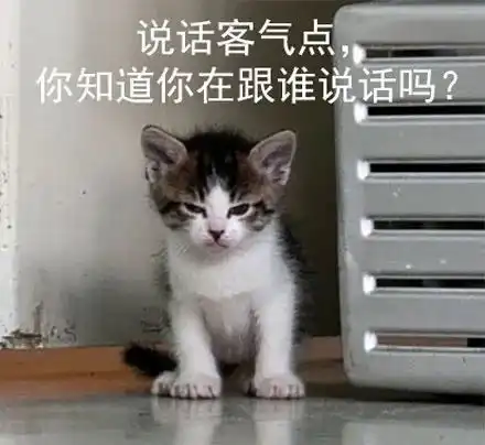 表情包女盆友还有五秒钟抵达战场
