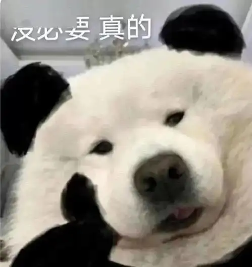  一顿操作猛如虎,回头一看原来自己是气氛组