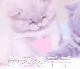 老婆表情包图片可爱老婆