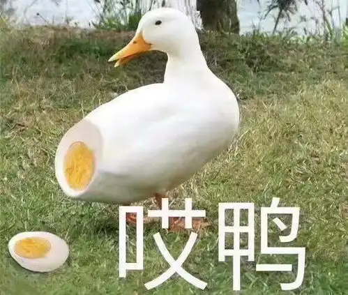  五星酒店再曝脏乱丑闻同一块浴巾擦杯子马桶