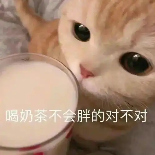 熊猫动漫喝奶茶表情包
