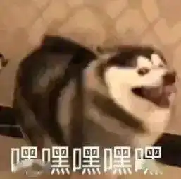  放开三孩后,琴童家长彻底崩溃了