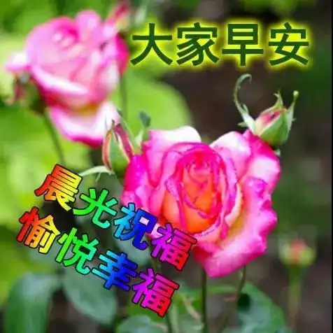 10月27日非常好看早上好动态表情图片大全,早安祝福问候鲜花表情包