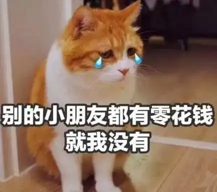  穷人表情包来了,妈,月底了打点钱吧