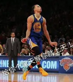  库里改行溜冰这位nba萌神硬生生活成了表情包