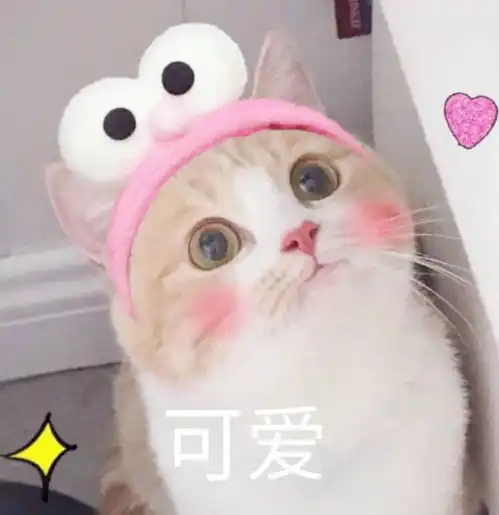  2018最新一期的东大方程式字幕出了