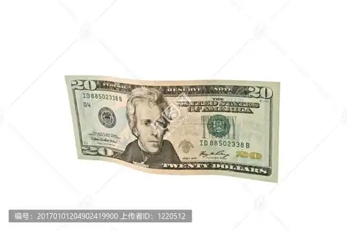  二十美元钞票图片素材新媒体用图设计素材下载