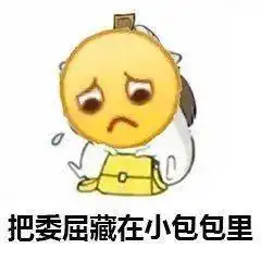  二十四节气今日大雪