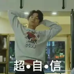  亲测三大去毛神器,哪种更给力