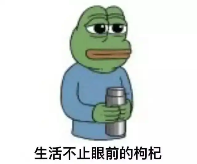  兄弟听我一言千万不要在养猫的房间里装日式纸门,简直欲哭无泪