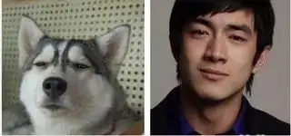 打狗狗表情包李冰冰