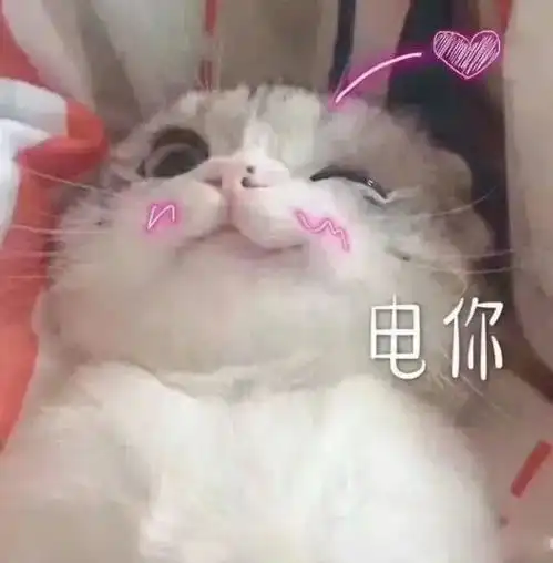 给女神打招呼的表情包打