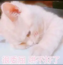 最近火了一组猫咪撒娇表情包凶什么凶,我跪下来不就好了