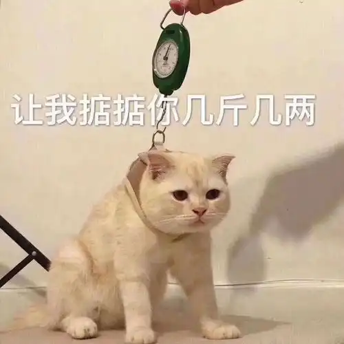  什么2020留学生之间还存在这样的鄙视链可以说相当真实了