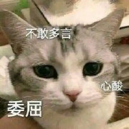  关于委屈的表情包不行,我受不了这委屈