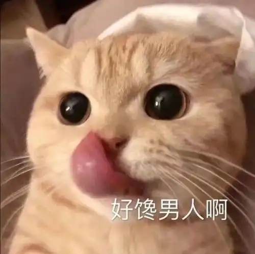  斗图表情包怎么不找我了是不是小宝贝太多忘了我