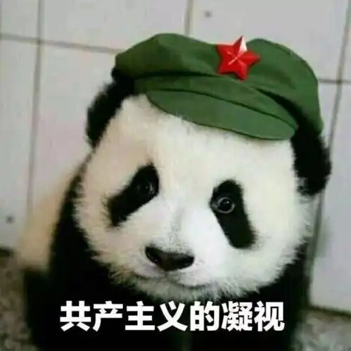  美柚资讯老外为了抢熊猫,已经打起来了大熊猫为国卖萌,应该的