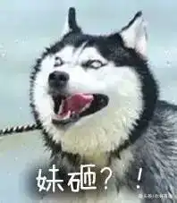  我对电子产品维修还是有一套的,使劲拍,要么拍好了要么拍坏了换