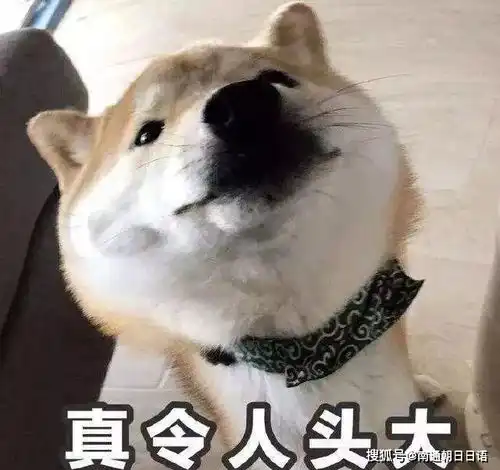 柴犬挨打表情包沙雕