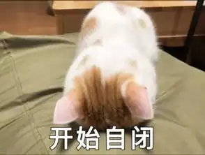 撩男神表情包出了问题