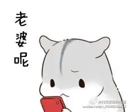 老婆表情包图片可爱仓鼠