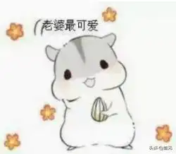  干货求生欲超强的表情包