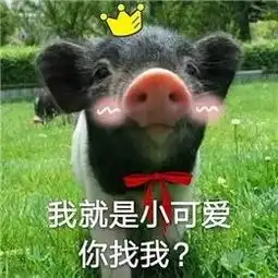  你不能玩弄我,但如果你会用表情包玩弄我那是真行