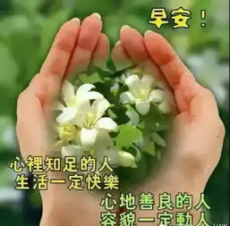  早晨好表情包早晨好图片祝福简短句子