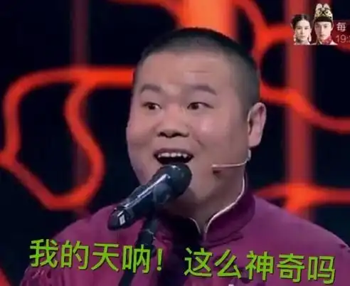  小岳岳表情包动态图