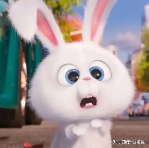 爱宠大机密小白表情包兔