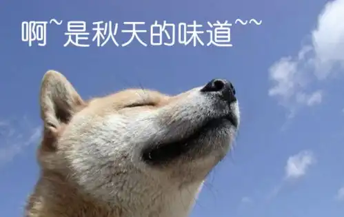  助力精彩世园,首都高校大学生定向越野大赛将在野鸭湖鸣枪开跑