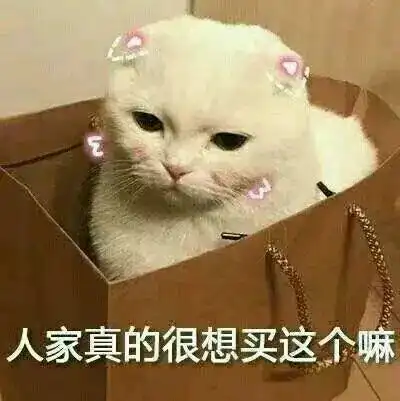  撩男朋友的猫咪表情包30张