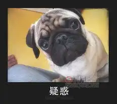  动物们的喜怒哀乐jcfjzhzh的时尚图片yoka时尚空间