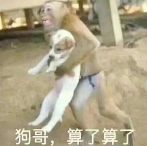  一组猴猴表情包
